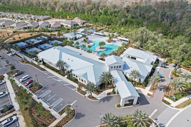 10843 IBIS BROOK COURT, Land O Lakes, FL 34638