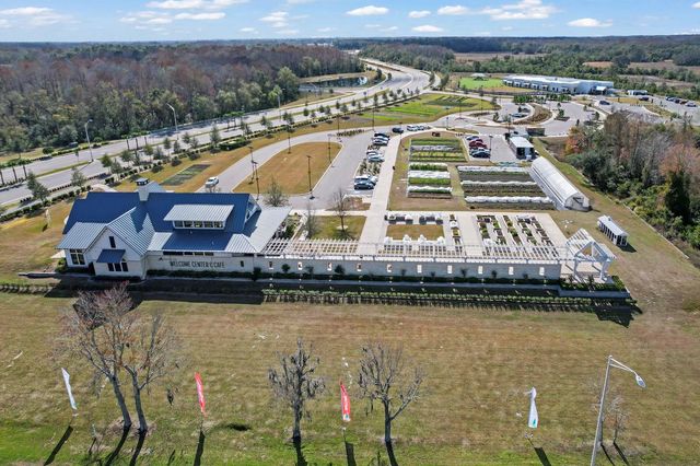 10843 IBIS BROOK COURT, Land O Lakes, FL 34638