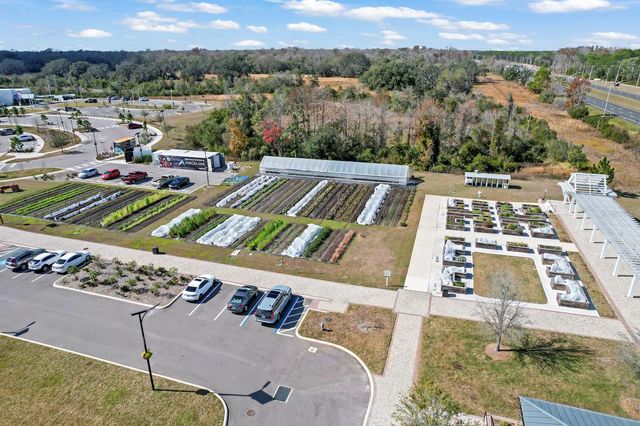 10843 IBIS BROOK COURT, Land O Lakes, FL 34638