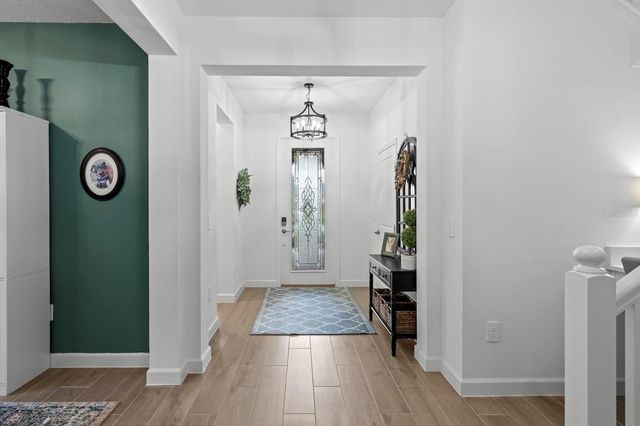 10843 IBIS BROOK COURT, Land O Lakes, FL 34638