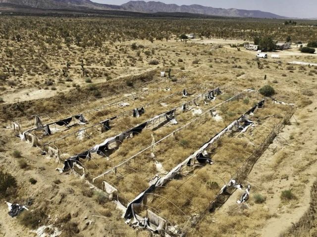 32800 224th Street East, Llano, CA 93544