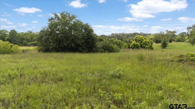 TBD CR 1125, Tyler, TX 75704