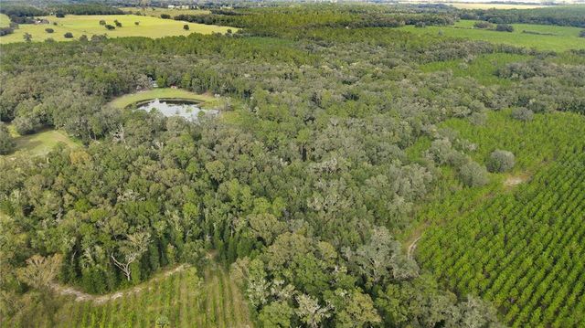 0 NE 175TH AVENUE, Williston, FL 32696