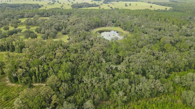 0 NE 175TH AVENUE, Williston, FL 32696