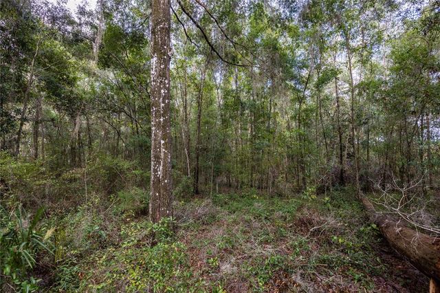 0 NE 175TH AVENUE, Williston, FL 32696