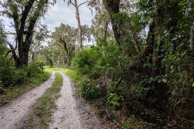 0 NE 175TH AVENUE, Williston, FL 32696