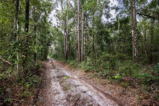 0 NE 175TH AVENUE, Williston, FL 32696