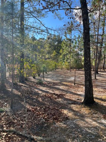 00 Turner Lane, Round O, SC 29474