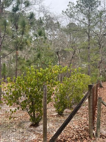 00 Turner Lane, Round O, SC 29474