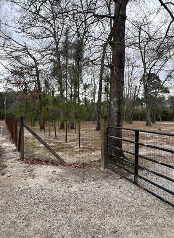 00 Turner Lane, Round O, SC 29474