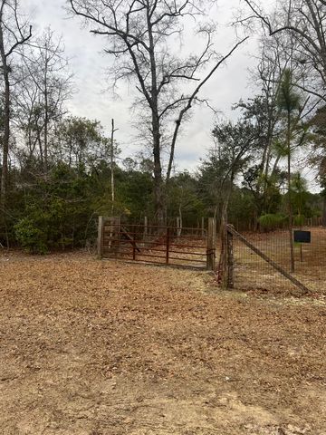 00 Turner Lane, Round O, SC 29474