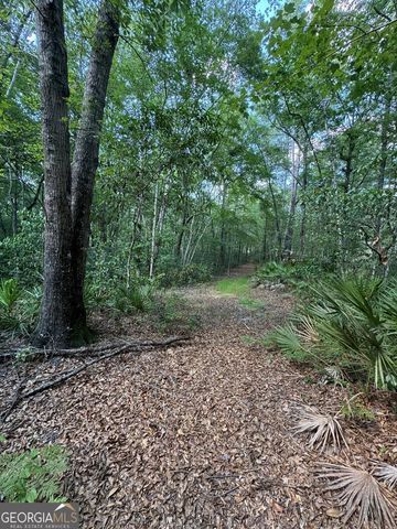51 Jimmy Boatright Drive, Hazlehurst, GA 31539