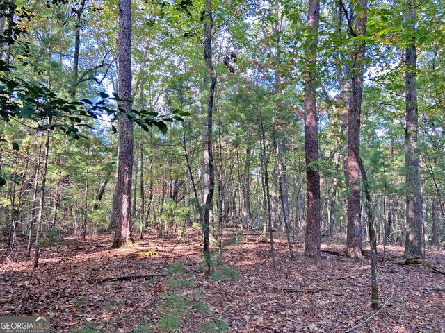 169 Dunns Road, Dahlonega, GA 30533