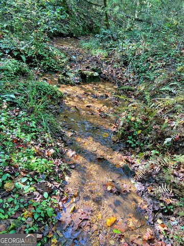 169 Dunns Road, Dahlonega, GA 30533