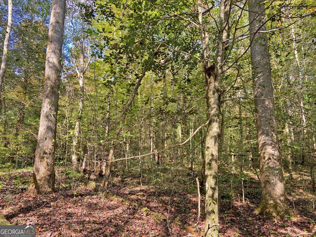 169 Dunns Road, Dahlonega, GA 30533