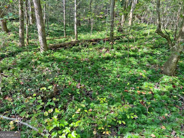 169 Dunns Road, Dahlonega, GA 30533