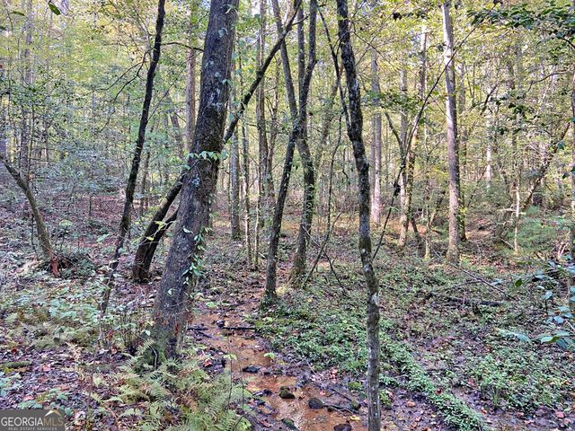 169 Dunns Road, Dahlonega, GA 30533