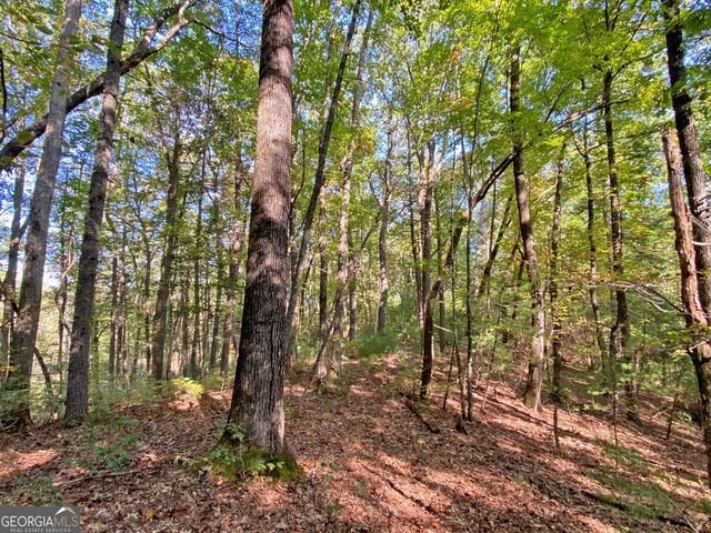 169 Dunns Road, Dahlonega, GA 30533