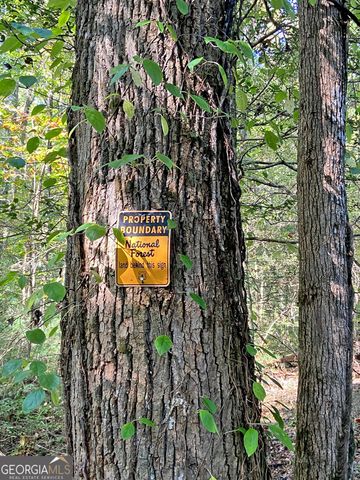 169 Dunns Road, Dahlonega, GA 30533