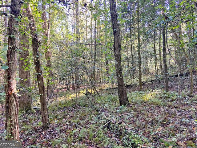 169 Dunns Road, Dahlonega, GA 30533