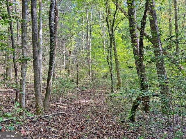 169 Dunns Road, Dahlonega, GA 30533