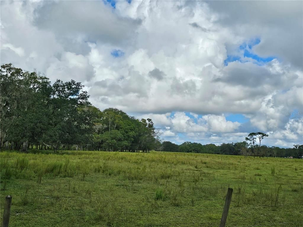 00 CR65, Bunnell, FL 32110