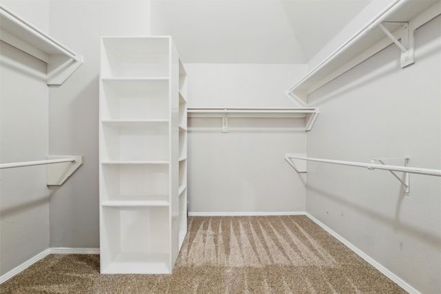 3402 Blue Forest Drive, Arlington, TX 76001