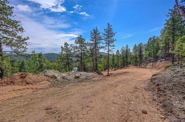 4501 County Road 72, Bailey, CO 80421