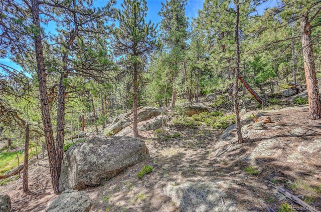 4501 County Road 72, Bailey, CO 80421