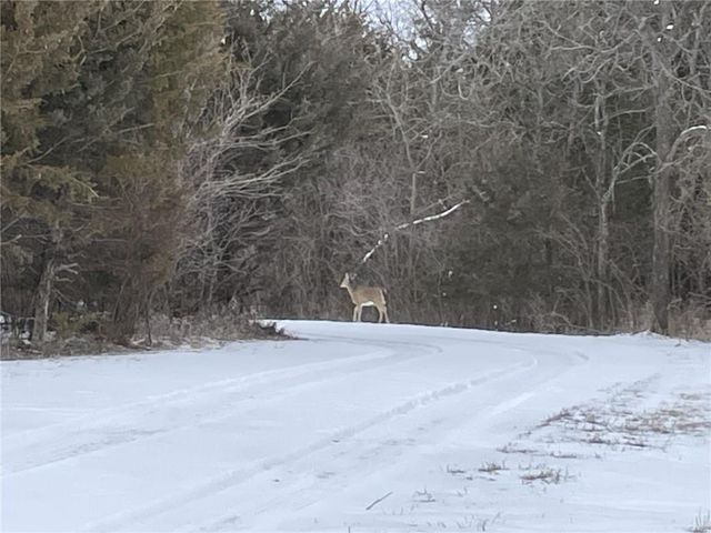 9885 Edgerton Road, De Soto, KS 66018