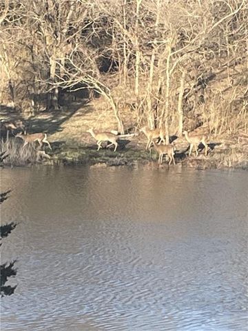 9885 Edgerton Road, De Soto, KS 66018