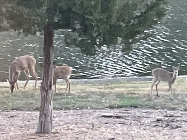 9885 Edgerton Road, De Soto, KS 66018