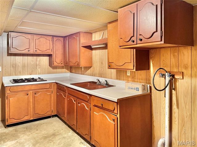 209 Aldergate Street, Farmington, MO 63640