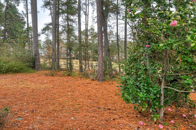 296 Willow Lake Drive, Aiken, SC 29803