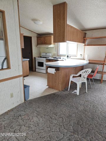 255 Danforth Drive, Sun Valley, NV 89433