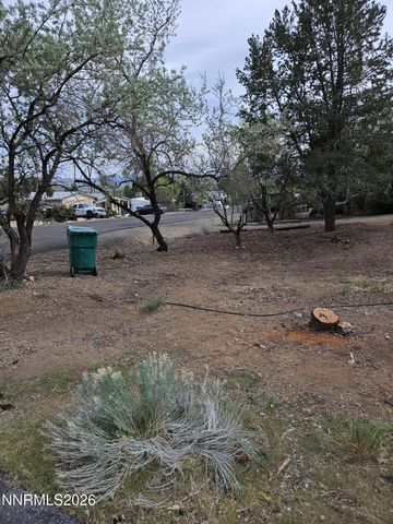 255 Danforth Drive, Sun Valley, NV 89433