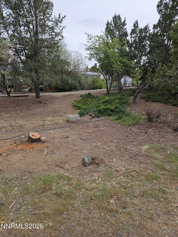 255 Danforth Drive, Sun Valley, NV 89433