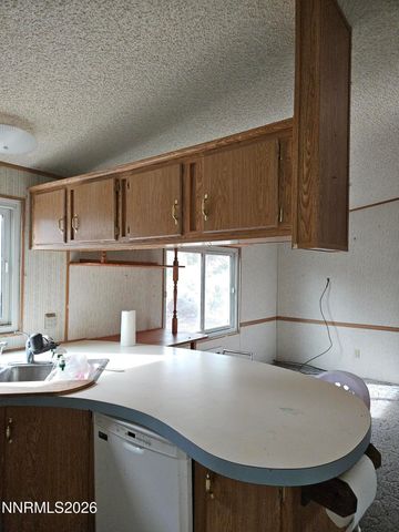 255 Danforth Drive, Sun Valley, NV 89433