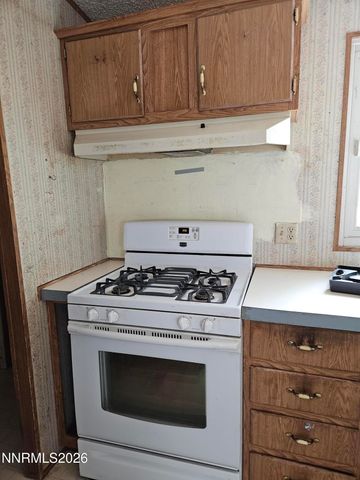 255 Danforth Drive, Sun Valley, NV 89433