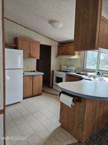 255 Danforth Drive, Sun Valley, NV 89433