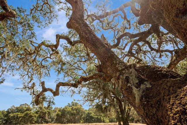 17 Sleepy Hollow Drive, Carmel Valley, CA 93924