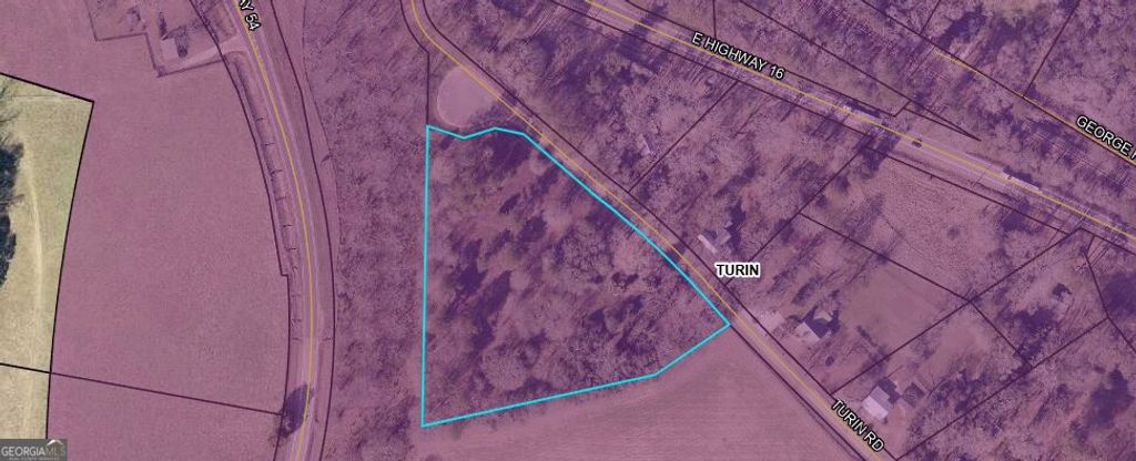 0 Turin Road, Senoia, GA 30276 — exterior