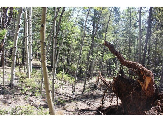 6050 Virginia Canyon Rd, Central City, CO 80427