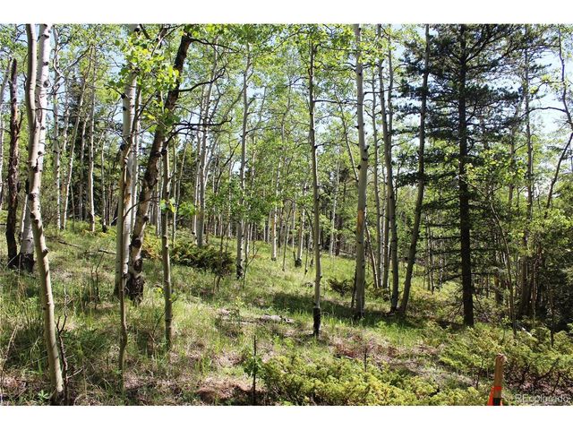 6050 Virginia Canyon Rd, Central City, CO 80427