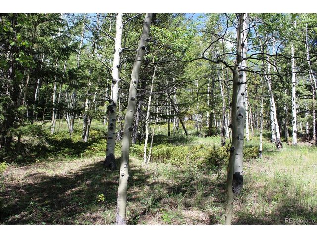 6050 Virginia Canyon Rd, Central City, CO 80427