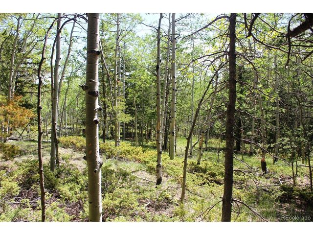 6050 Virginia Canyon Rd, Central City, CO 80427