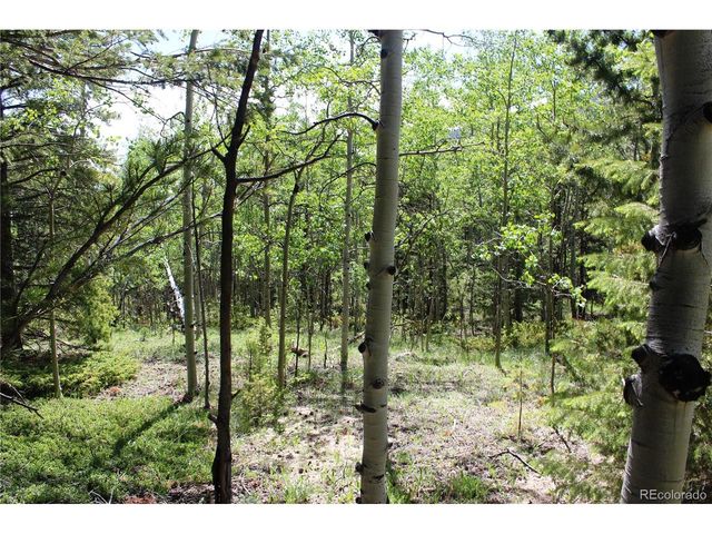 6050 Virginia Canyon Rd, Central City, CO 80427