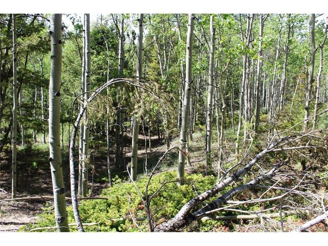 6050 Virginia Canyon Rd, Central City, CO 80427
