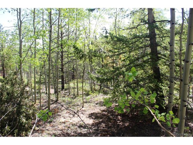 6050 Virginia Canyon Rd, Central City, CO 80427