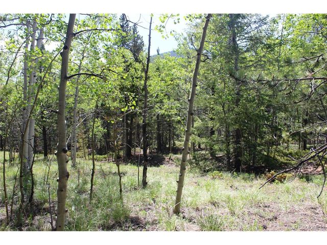6050 Virginia Canyon Rd, Central City, CO 80427